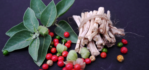Ashwagandha: 5 ongelooflijke voordelen van de slaapbes