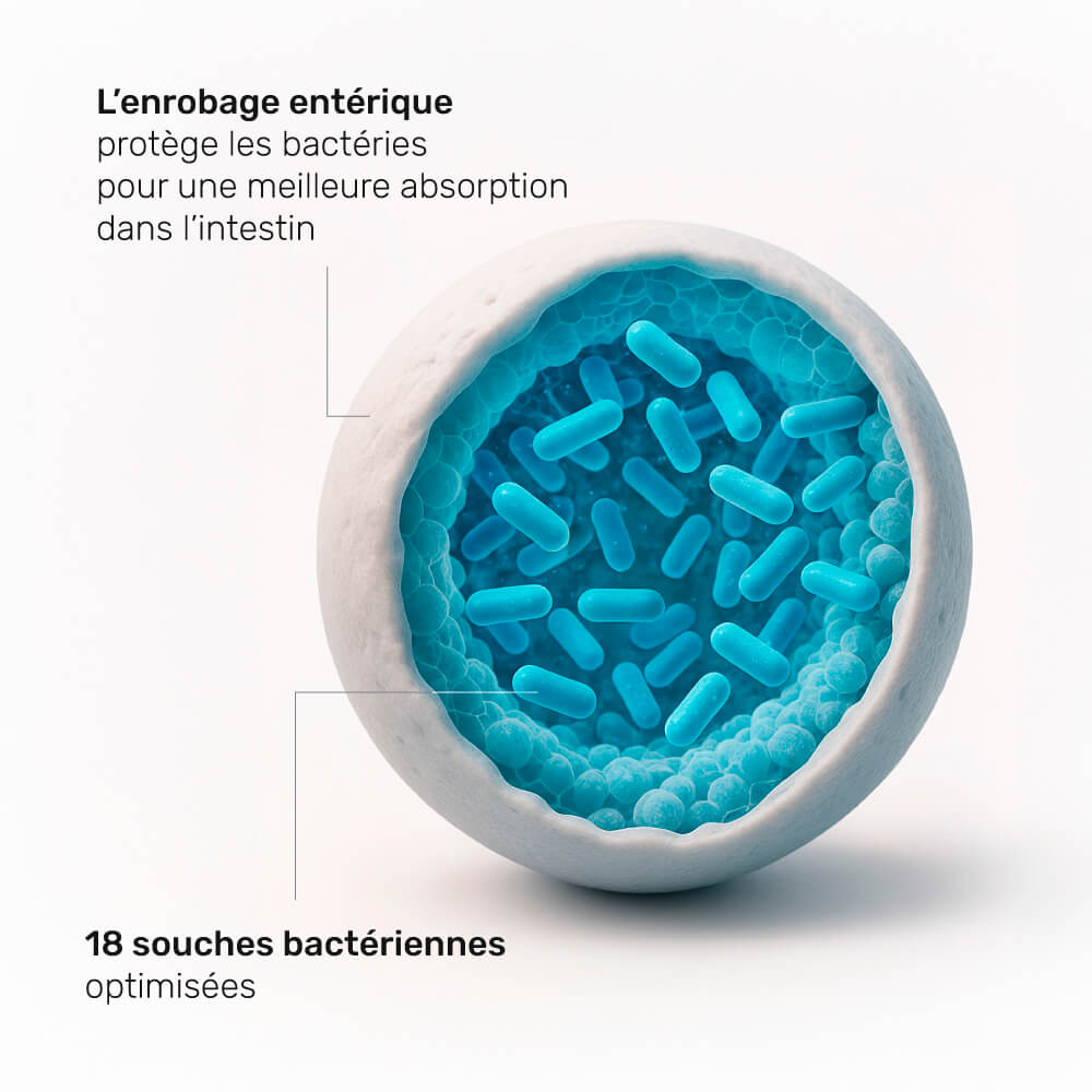 Probiotiques microencapsulés