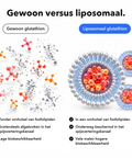 Liposomaal Glutathion: Gewoon versus liposomaal