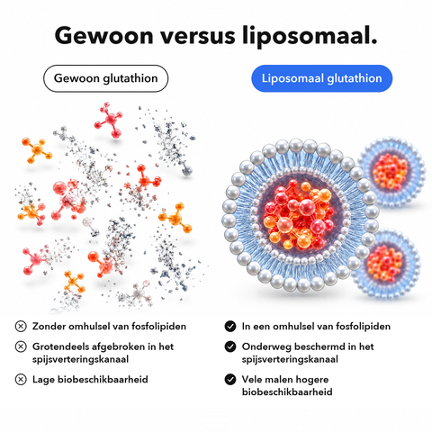 Liposomaal Glutathion: Gewoon versus liposomaal