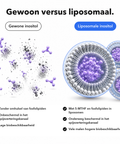 Liposomaal Inositol + 5-MTHF: Gewoon versus liposomaal