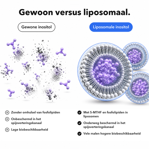 Liposomaal Inositol + 5-MTHF: Gewoon versus liposomaal
