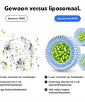 Liposomaal NAC: Gewoon versus liposomaal