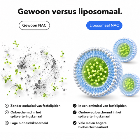Liposomaal NAC: Gewoon versus liposomaal