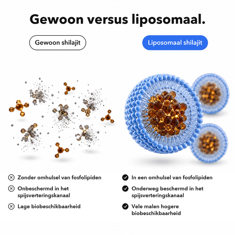 Liposomaal Shilajit: Gewoon versus liposomaal