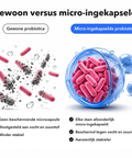 Microingekapselde Intieme Probiotica: Gewoon versus micro-ingekapseld