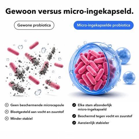 Microingekapselde Intieme Probiotica: Gewoon versus micro-ingekapseld