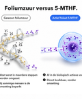 Liposomaal Inositol + 5-MTHF: Foliumzuur versus 5-MTHF