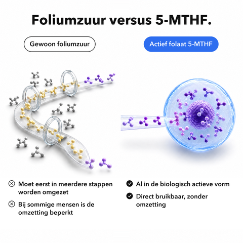 Liposomaal Inositol + 5-MTHF: Foliumzuur versus 5-MTHF
