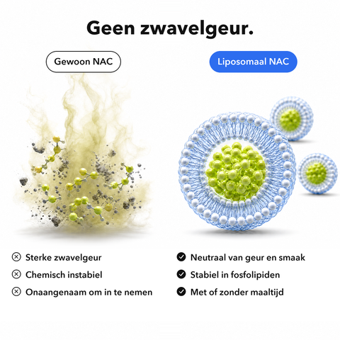 Liposomaal NAC: Geen zwavelgeur