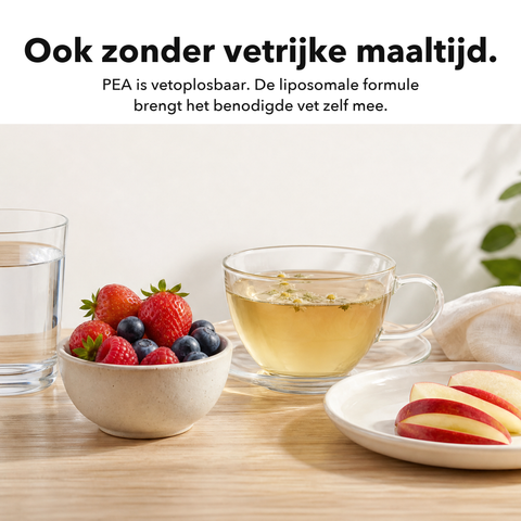 Liposomaal PEA: Ook zonder vetrijke maaltijd
