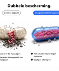 Microingekapselde Intieme Probiotica: Dubbele bescherming