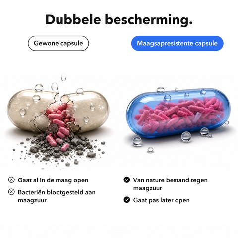 Microingekapselde Intieme Probiotica: Dubbele bescherming