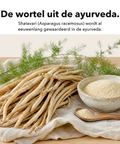 Shatavari: De wortel uit de ayurveda