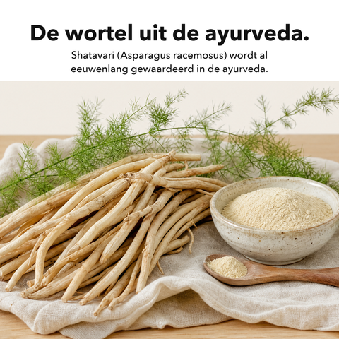 Shatavari: De wortel uit de ayurveda