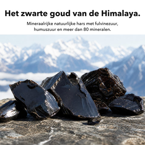 Liposomaal Shilajit: Het zwarte goud van de Himalaya